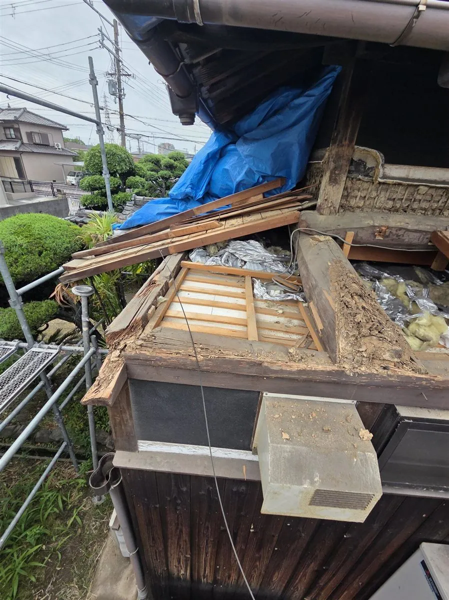 加古川市Y様邸｜雨漏り調査でシロアリ被害を発見。屋根修理だけでは解決できないケースもあります。