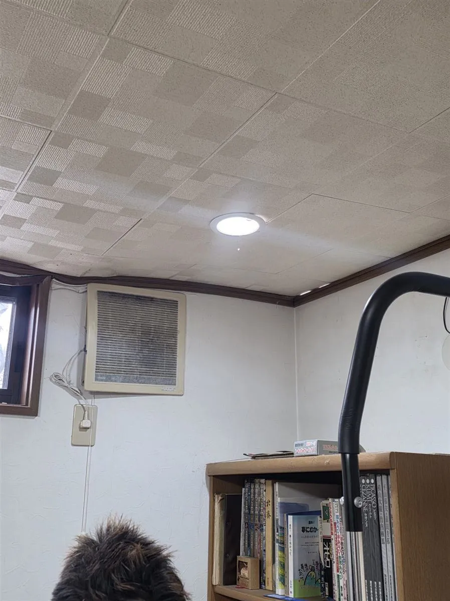 加古川市Y様邸｜雨漏り調査でシロアリ被害を発見。屋根修理だけでは解決できないケースもあります。